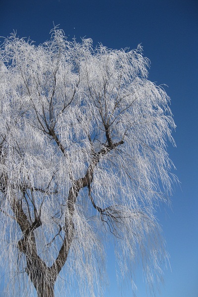 Best Time to Visit Hokkaido