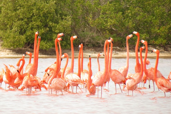 Best Time to Visit Merida, Mexico