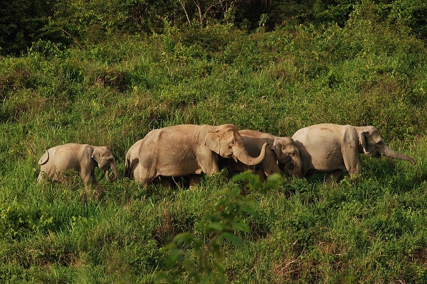 Best Time to Visit Chiang Mai