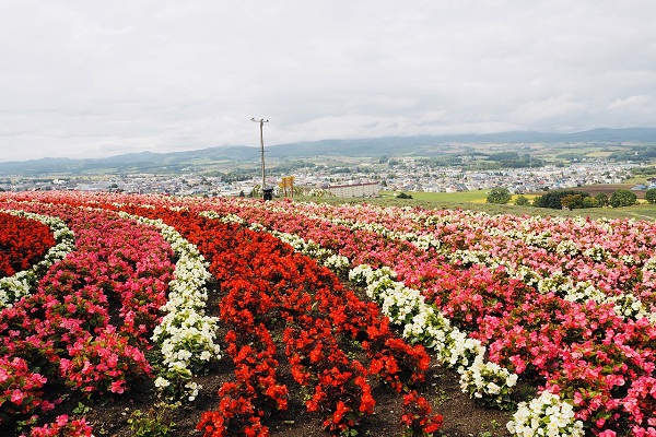 Best Time to Visit Hokkaido