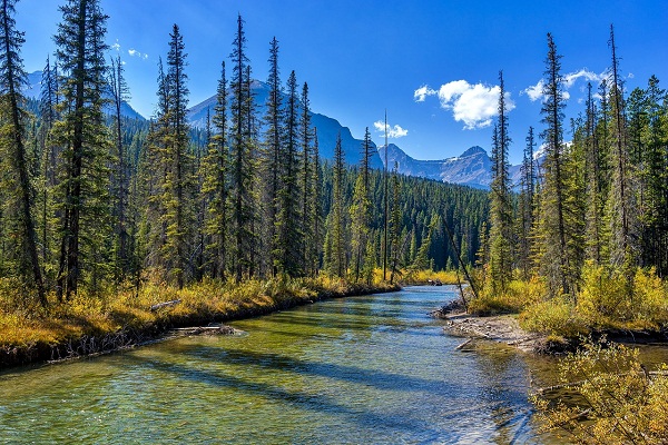 Best Time to Visit Banff