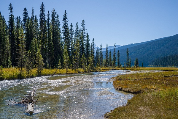 Best Time to Visit Banff