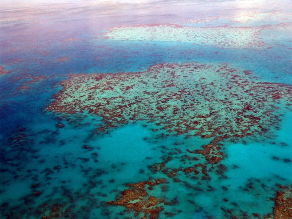 Best Time to Visit Great Barrier Reef