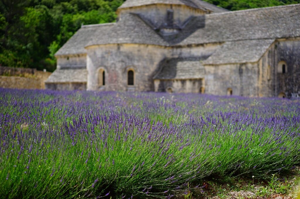 Best Time to Visit Provence