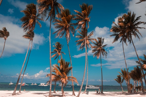 Best Time to Visit Punta Cana