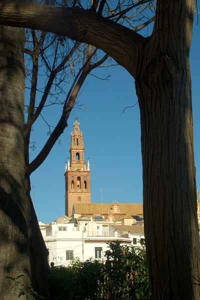 Best Time to Visit Seville Spain