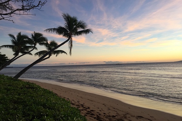 Best Time to Visit Hawaii