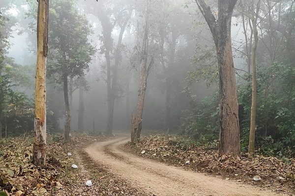 Best Time to Visit Rishikesh